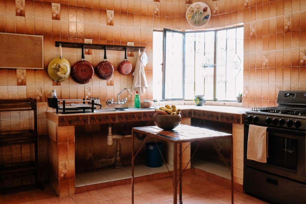Sunshine House - Made By Artists Villa Oaxaca Exteriör bild
